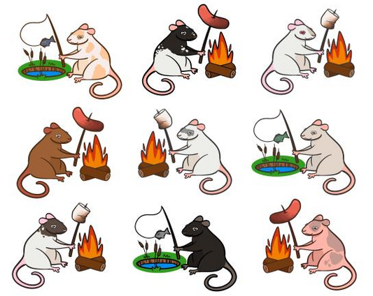 Camping Rats (8" x 10" Print) by Presh A to Start